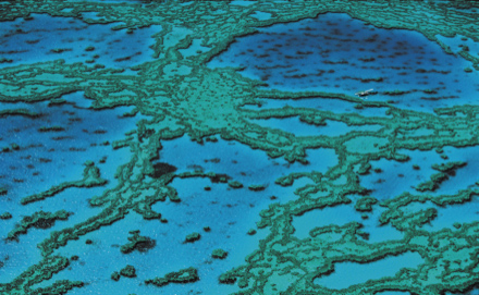 Grande Barrire de corail, Queensland, Australie