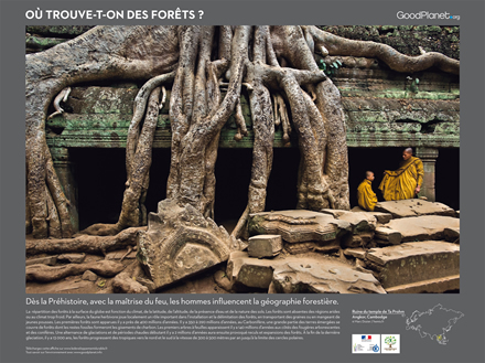 Ruine du temple de Ta Prohm, Angkor, Cambodge.