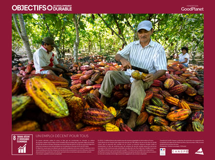 Oswaldo del Castillo Vasquez, producteur de cacao dans une coopérative bio et équitable de la région de San Martïn au Pérou. Dans les années 1980, il a cessé de planter de la coca pour du cacao.